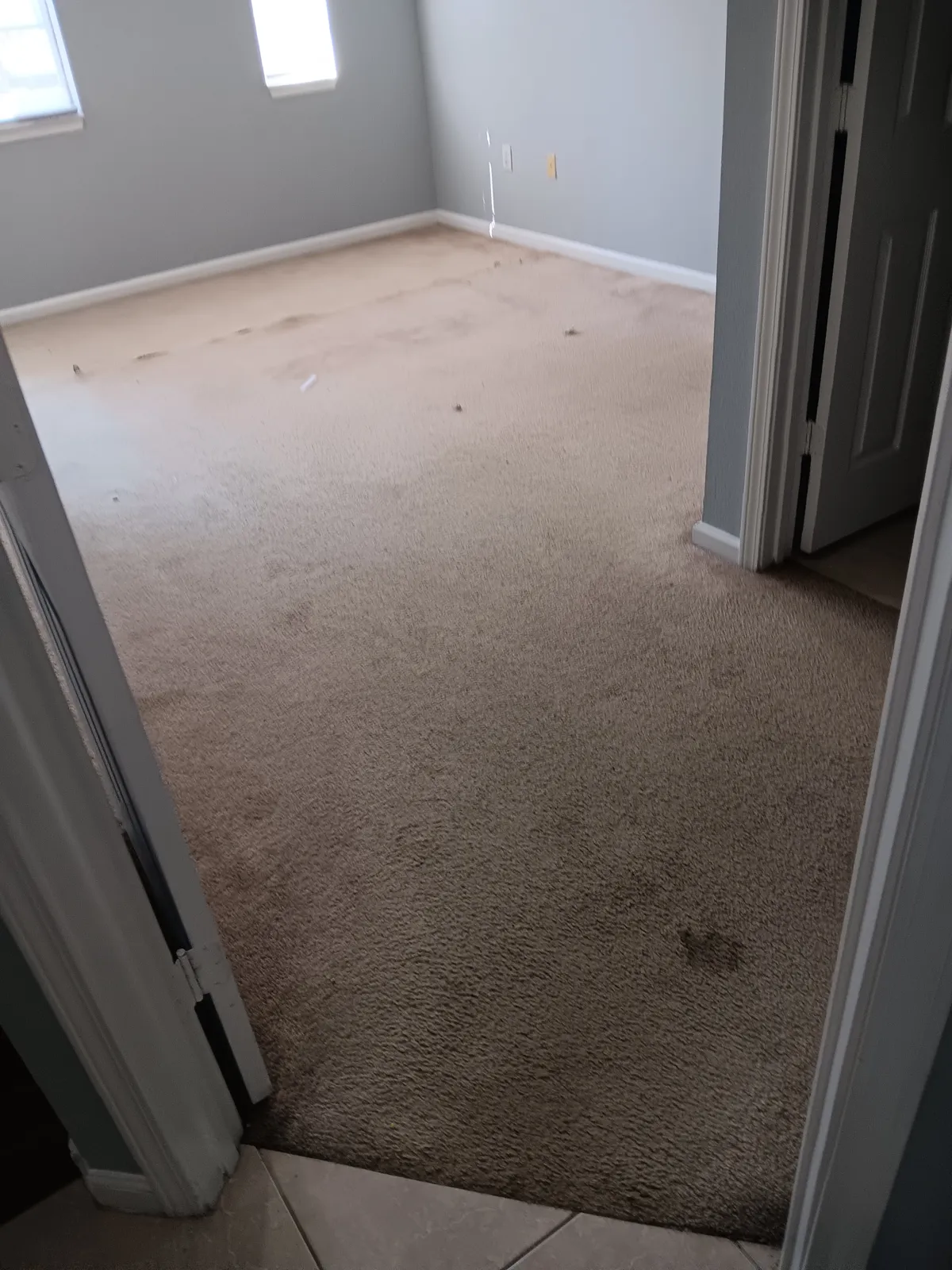 Carpet to plank flooring, before
